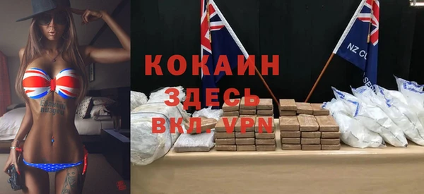 дживик Надым